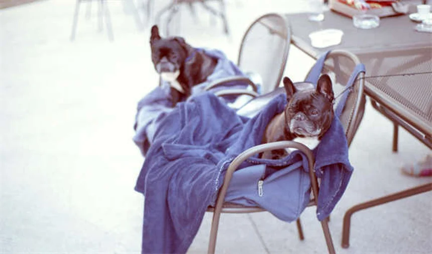 Jeep Recon EV: What We Know About the 2026 Electric Off-Roader